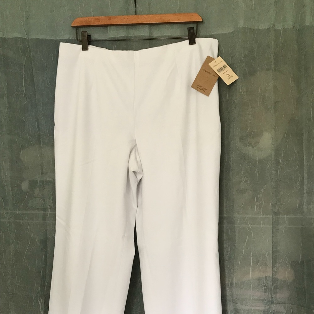 Coldwater Creek Lined Pants